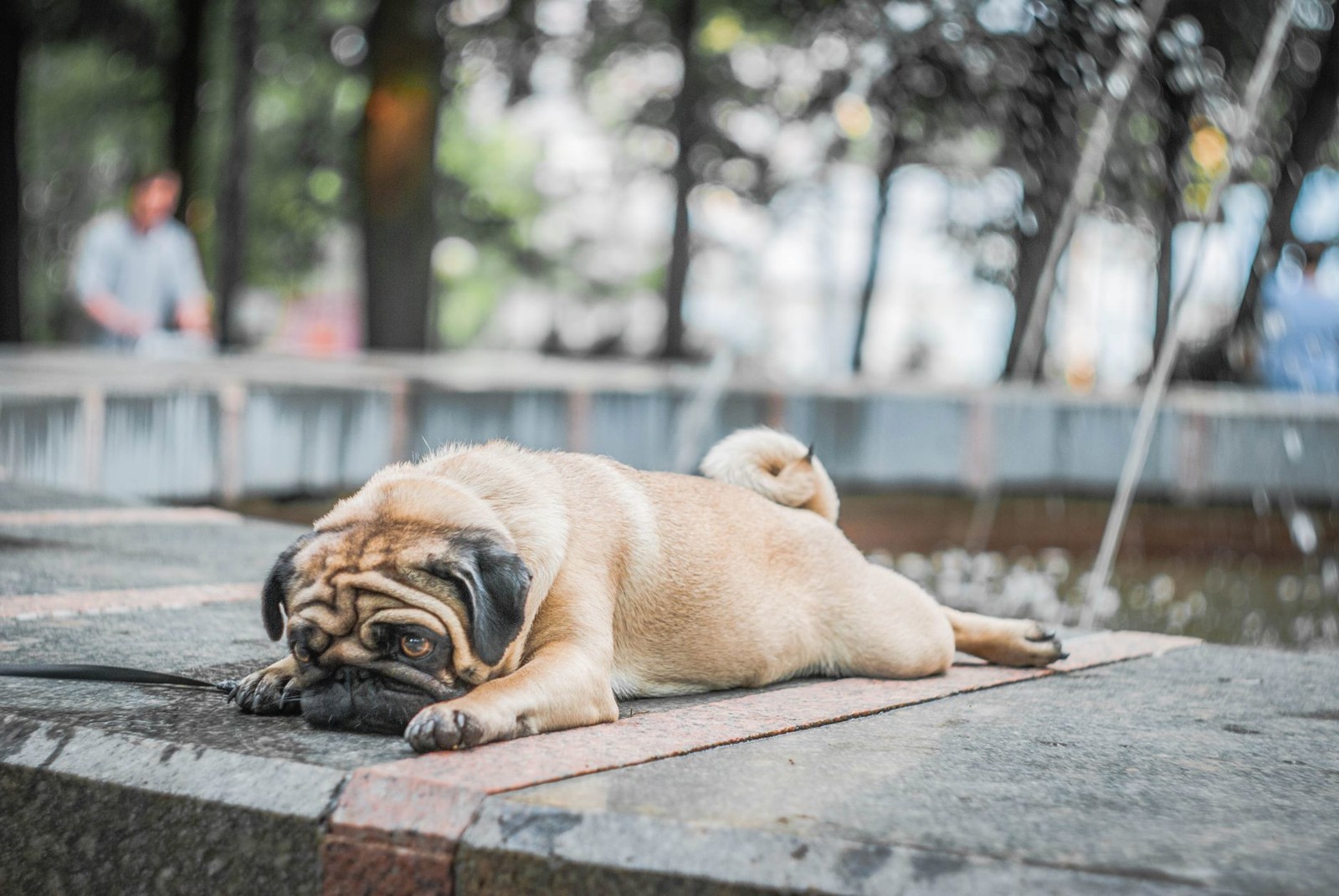 What Passive House Gets Right When it Gets Hot